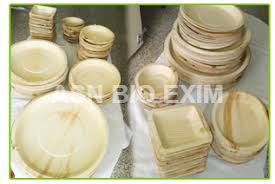 Assiettes à manger durables biodégradables en feuille de palmier Areca Plats bio dégradables écologiques avec gravure à motif végétal - Product Image 4