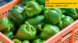 Pimiento Verde fresco, pimienta fresca de Vietnam - Product Image 4