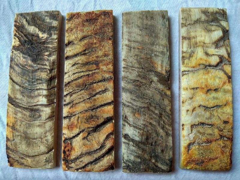 Natural color sheep horn