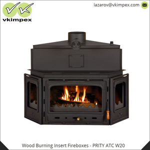 Focus 2021 — boîte de rangement pour combustion de bois, nouvel arrivage, Installation libre, boîtes de feu d'artifice, 194 kg - Product Image 2