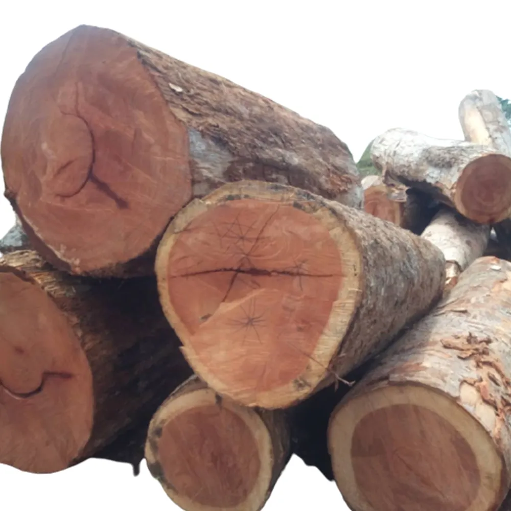 Papao या Afzelia लॉग उच्च गुणवत्ता Afzelia लकड़ी लॉग सागौन लकड़ी