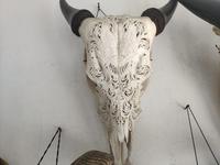 Araignée − couverture de chèvre authentiques, mélange de motifs, 100% ml, ram de vache, crâne, original, sculptées, fait à la main, par des artisanales spéciales Bali