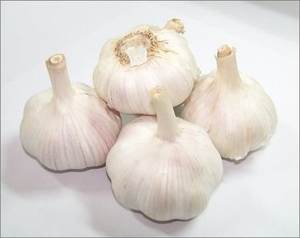 New Crop <b>Fresh</b> <b>Garlic</b> - <b>Garlic</b> Good Quality & Price for Wholesaler - Product Image 4