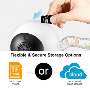 FCC/CE/ROHS Hàng Đầu Thâm Quyến 5 Nhà Máy Dễ Thương Chim Cánh Cụt 1080P Ptz Âm Thanh Hai Chiều Trong Nhà Em Bé/Vú Em/Máy Ảnh Thú Cưng - Product Image 4