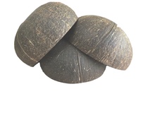 Ensemble de vaisselle en coquille de noix de coco de style vintage, 100% biologique, poli, écologique, prix abordable, Vietnam, EUTECH EVN200