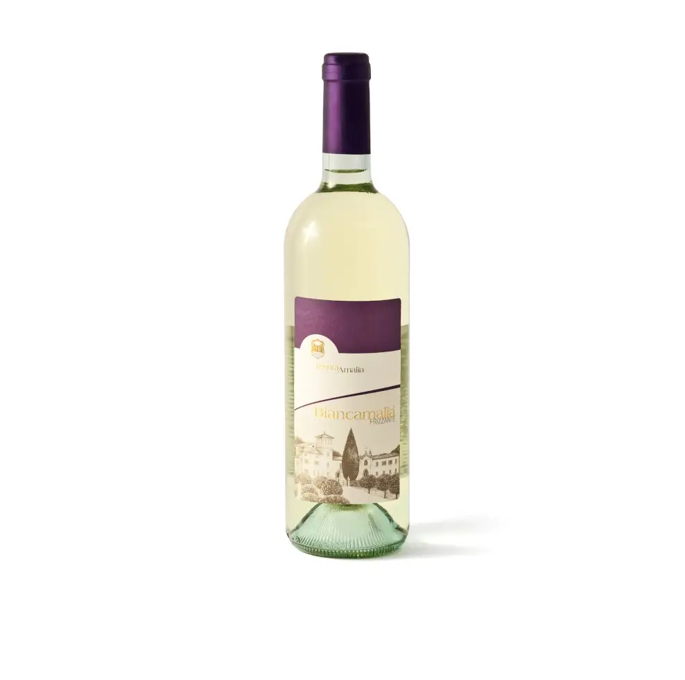 Fine 750 ml italian chardonnay igt sparkling white wine for HORECA
