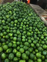 Vietnam Verse Lime Pitloze/Groen Circus Fruit/Verse Groene Citroen Pitloze + 84986778999 David