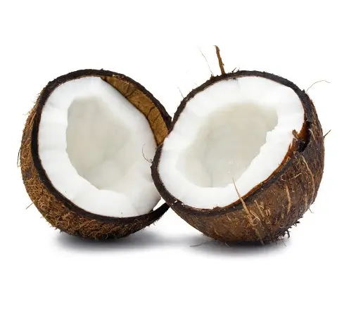 Manufacturers & Suppliers OF Organic 100% RBD Coconut Oil