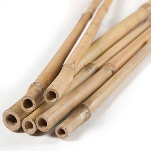 Sustainable Bamboo <b>Stakes</b> Canes/ Bamboo <b>Stakes</b> <b>for</b> <b>Garden</b> Made in Vietnam by ECO2GO VIETNAM - Product Image 6