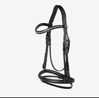 Ensemble complet de harnais de cheval en Pvc de sécurité 2020, noir, cuir imperméable, métal, boucle de couleur OEM, technologie COB, matériau écologique, marron