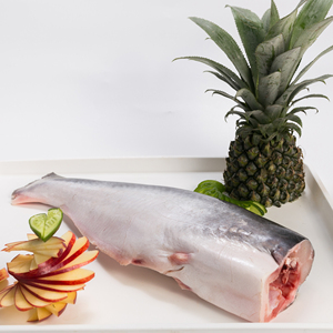 Pangasius HGT แช่แข็งรูปร่างไม่ซ้ำกัน10กก. จากเวียดนามผลิตภัณฑ์ปลาสด - Product Image 2