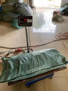 Fauces secas de Pangasius // Rica en colágeno de alta calidad de Vietnam // Sra. Beatrix - Product Image 5