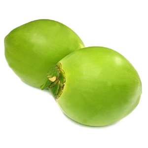Carne de coco de Canadá - Product Image 1