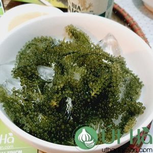 100% Uvas marinas naturales-Laver Natural Green-Mejor precio para venta minorista de Vietnam // Sra. Beatrix - Product Image 5