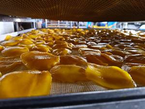 Aperitivos de Mango sin carne, el mejor Mango Seco, rebanadas de fruta, embalaje de 500G/1kg - Product Image 3