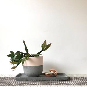 Macetas de fibra de vidrio para exteriores, diseño de lujo moderno, para plantas, cuencos, jarrones y flores - Product Image 5