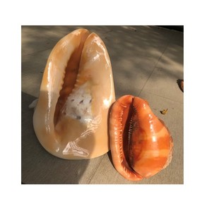 Vietnamese Seashells Home Decoration in Bulk - Natural Big Helmet <strong>Shell</strong> - Product Image 1