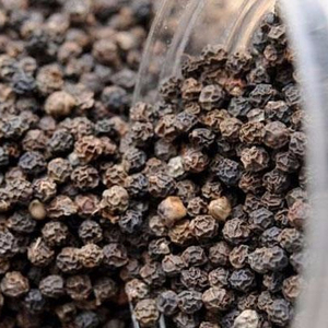 PHALCO JSC du VIETNAM, le grand fabricant de poivre noir et blanc - Product Image 1