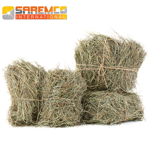 โรดส์จับก้อนฟางเพื่อส่งออกไปยังกาตาร์/ยูเออี/คูเวต/ซาอุดีอาระเบีย/จอร์แดน - Product Image 5