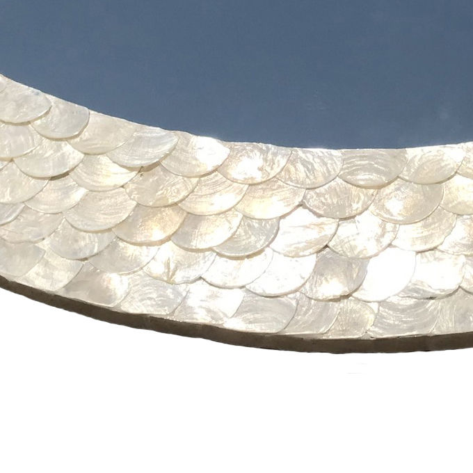 เปลือกหอยมุกสีขาว