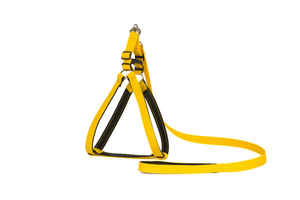 สายจูงและสายรัดพลาสติกอ่อนสินค้า1 - Product Image 3