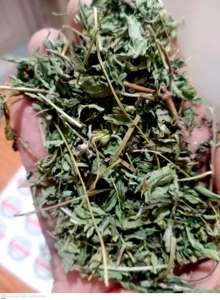 Vana-Hierba de origen indio, hojas de Tulsi, calidad prémium, Ocimum, grano, mejora el sistema de digestión - Product Image 6