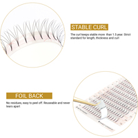 Extensions de cils en volume russe 3D 4D 5D en fibres PBT coréennes de haute qualité, bouquets pré-faits, courbure C/D/BC