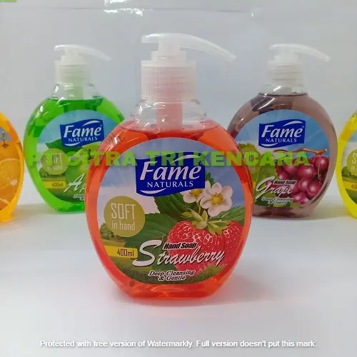 Sıvı sabun şişesi 400 ML ihracat Adana türkiye koku parfüm sıvı el yıkama plastik pompa ANTI bakteriyel ANTI tohumu