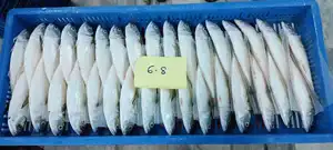 Kualitas Terbaik Ikan Makarel India Frozen, Ikan Makarel dari Ikan India India Mackerel Ukuran 4/6,6/8,8/10,10/12