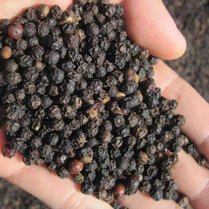 Todos los grados de pimiento negro de Vietnam pimientos picantes secos/callos 500g/L crudo agregar gran oferta especias individuales hierbas proceso de secado seco - Product Image 4