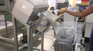 ได้รับการรับรองคุณภาพทำความสะอาดเม็ดมะม่วงหิมพานต์ W240 W320 W450 - Product Image 4