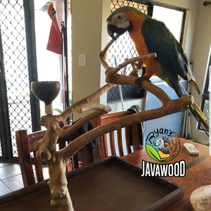 Soporte de madera para pájaros, accesorio barato de alta calidad para mascotas, juguete y decoraciones para mascotas, venta al por mayor - Product Image 4