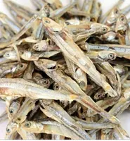 Dry anchovy stock fish,dry stock fish