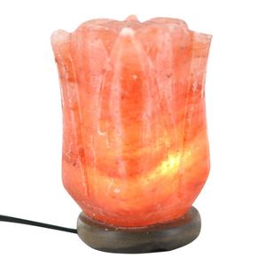 Lámpara de Sal del Himalaya Rosa 100% Pura, Forma Ecológica, Feng Shui, Tallada en Ángel, Decoración del Hogar, Tamaño Personalizable, Logotipo, Sian Enterprises - Product Image 1