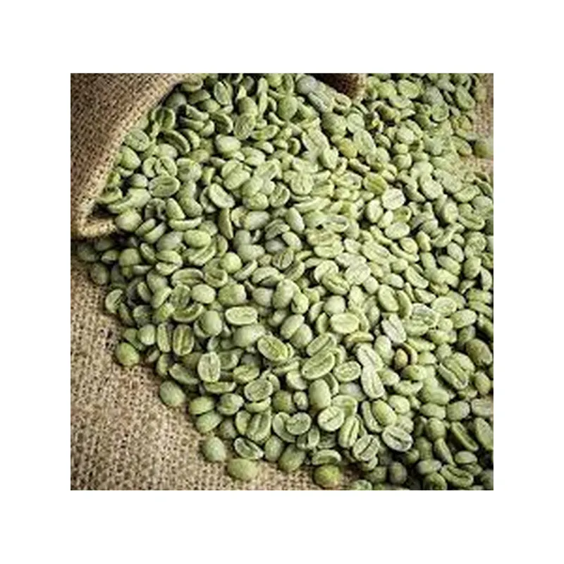 Best quality Green Coffee Beans CAMEROUN NATURALE GG SC.18/20 (GRADE 1) Robusta ready to export