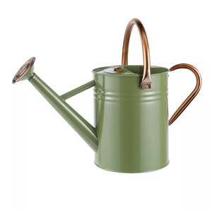 Arrosoir automatique de haute qualité en métal, Pot d'arrosage décoratif pour la maison et le jardin, finition chromée avec pichet bleu - Product Image 3