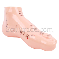 Modèle anatomique humain de pied en caoutchouc pour acupuncture, usage hospitalier et clinique de massage, avec fonction moxa chinoise, 15cm*7cm, en promotion