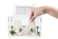 Empire des fourmis – Style Eygty, taille moyenne, CLASSICS – Maisons en plastique écologiques pour fourmis, terrarium, 18,7 x 4,8 x 10,7 cm