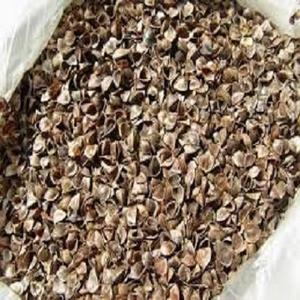 buckwheat hulls bulk