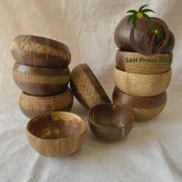 Bols en coquille de noix de coco, naturelle de conception en coquille de noix de coco, ensembles de vaisselle pour les voyages et les fêtes, produits écologiques durables
