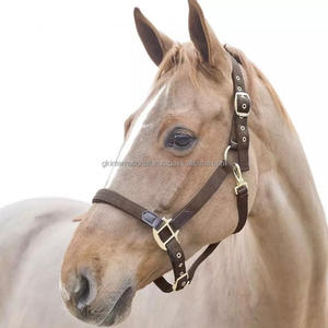 Licou en cuir cheval, licou écologique de haute qualité, 100% pur cuir, avec couture fantaisiste et raccord ajustable - Product Image 2