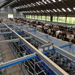 Il capannone moderno della mucca struttura il capannone del bestiame e il fienile della mucca da latte - Product Image 6