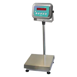 Professional Balance Electronic Digital Weighing Scale