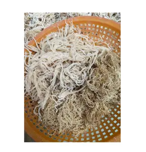 irish sea moss extract - Vietnam dried Eucheuma spinosum - Eucheuma cottoni (Ms.Sandy whatsapp wechat 0084587176063)