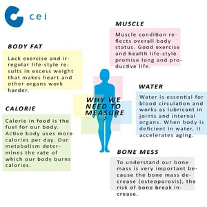 เครื่องวิเคราะห์ไขมันในร่างกายแบบดิจิตอล,เครื่องวิเคราะห์สุขภาพร่างกายแบบ5 In 1 - Product Image 3