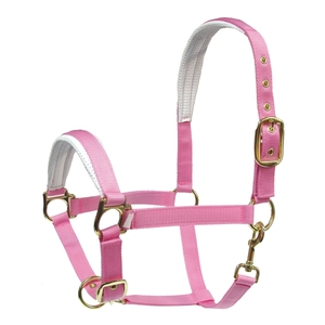 EQUIZONE PP Horse <b>Halter</b> Model HL-5133PX Made in TW - Product Image 1