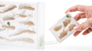 Elera — nid de ferme à fourmis éducatif, plateforme, nid pour fourmis Live - Product Image 4