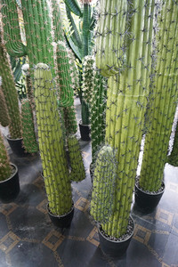 Árbol de cactus artificial en maceta de <span class=keywords><strong>agave</strong></span> de plástico y <span class=keywords><strong>mini</strong></span> plantas artificiales Colección de cactus decorativa de interior duradera - Product Image 2
