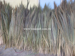 Balai à herbe matière première nouvelle saison balai à herbe matière première pour la fabrication de balai - Product Image 4