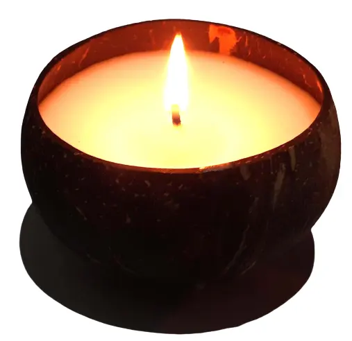 100% Natural Coconut Wax for DIY Scented Candles Making (Whatsapp: +84 38 3874313)